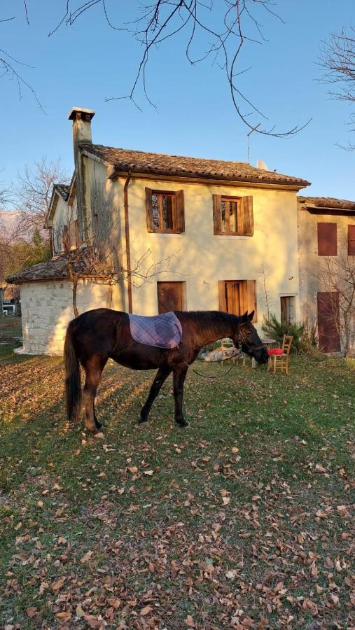 La Caneveta Al Piave Valdobbiadene Exterior foto