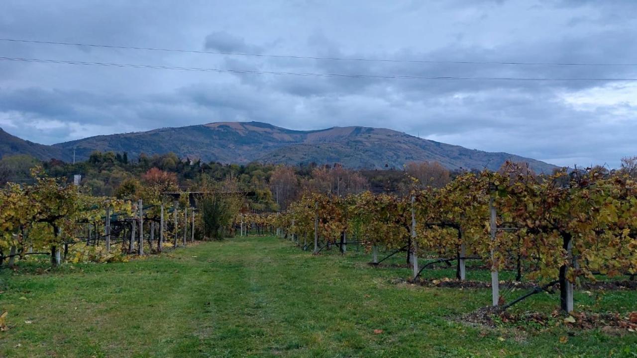 La Caneveta Al Piave Valdobbiadene Exterior foto