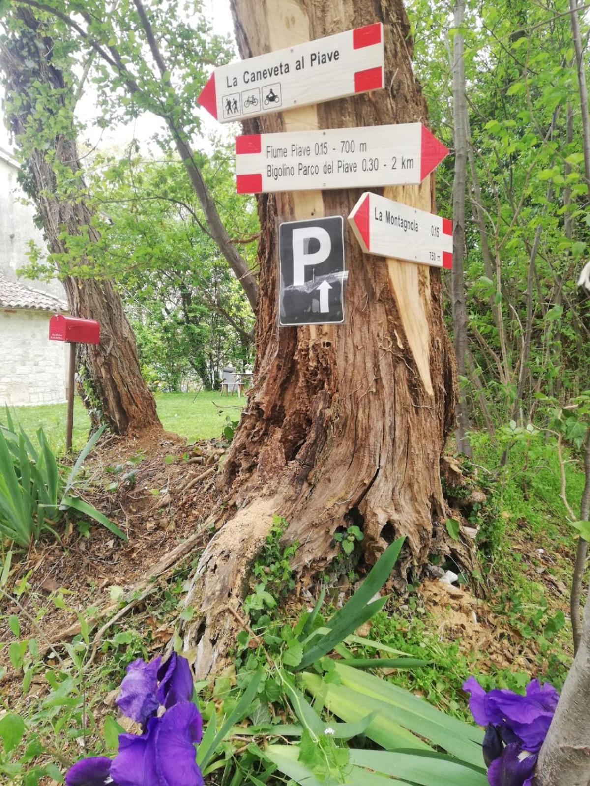 La Caneveta Al Piave Valdobbiadene Exterior foto